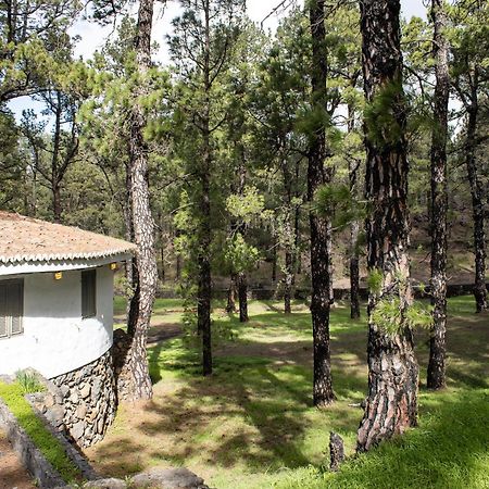 Vivienda Vacacional Finca La Redonda El Paso Luaran gambar